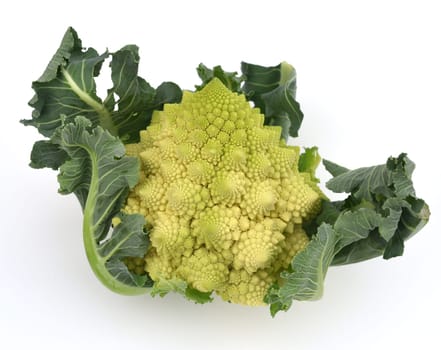 Romanesco,broccoli has large green flowers with excellent taste and decorative appearance. Romanesco,broccoli has large green flowers with an excellent taste and decorative appearance.