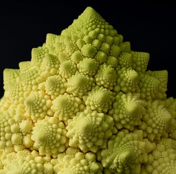 Romanesco,broccoli has large green flowers with excellent taste and decorative appearance. Romanesco,broccoli has large green flowers with an excellent taste and decorative appearance.