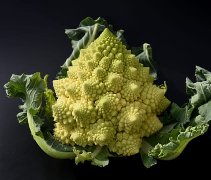Romanesco,broccoli has large green flowers with excellent taste and decorative appearance. Romanesco,broccoli has large green flowers with an excellent taste and decorative appearance.