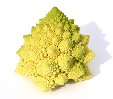 Romanesco,broccoli has large green flowers with excellent taste and decorative appearance. Romanesco,broccoli has large green flowers with an excellent taste and decorative appearance.
