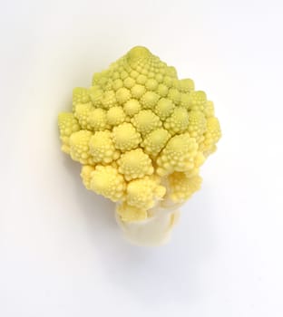 Romanesco,broccoli has large green flowers with excellent taste and decorative appearance. Romanesco,broccoli has large green flowers with an excellent taste and decorative appearance.
