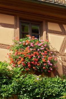 Detail of a historic half-timbered house with flowers as decoration in Rothenburg ob der Tauber in Germany