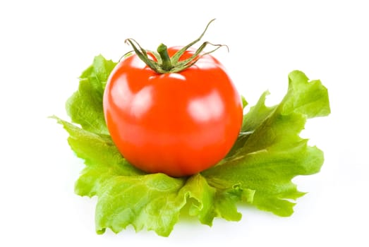 Fresh tomato and lettuce isolated over white background