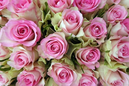 rosa-weisse Rosenblüten - Schnittblumen-Strauss