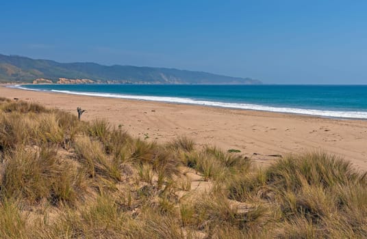 Remote Beach on the California Coast in Point Reyes National Seashore in California