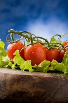 photo of red tomatoes with water drops over lettuce bed