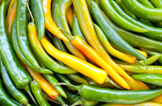 Green fresh  pepper chile background