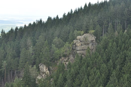Kaesteklippen, Harz Mountains in Bad Harzburg, Germany