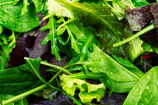 Set of fresh salad leaves on the plate. Vegan food. Food background