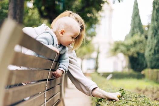 Young mother with her cute infant baby boy child leaning over back of wooden bench towards bushes in city park, observing green plant with young leaves and learn about life and nature
