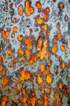 Metal rust background