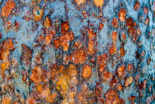 Metal rust background