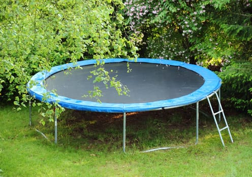 Blue trampoline on the lawn in garden