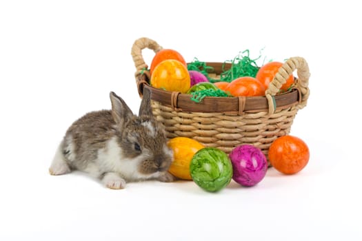 Easter Bunny with Nest