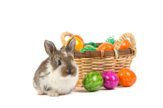 Easter Bunny with Nest