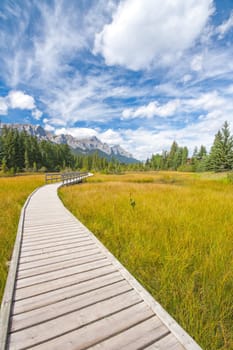 Landscape of the boardwalk along Policeman's creek in Canmore, Alberta.