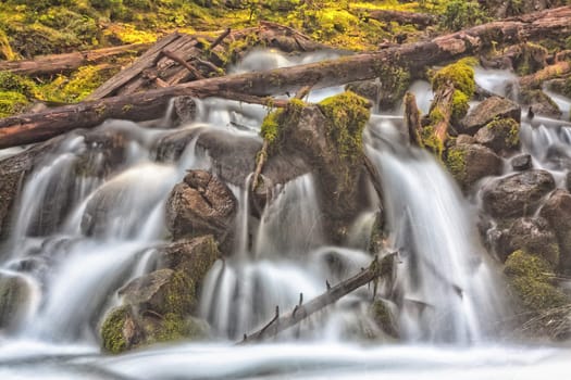 Waterfall at Karst Springs over moss and deadwood in Kananaskis, Alberta.