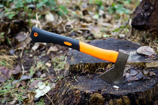 An axe or hatchet, stuck in a dead tree stump.
