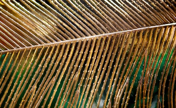 A close-up of a gilded palm leaf.