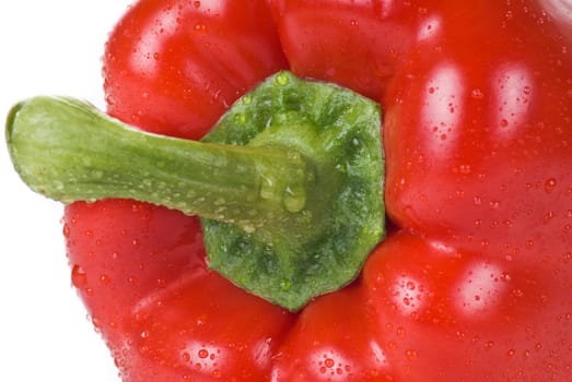 Sweet red pepper closeup