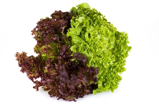 Fresh lettuce isolated on white background