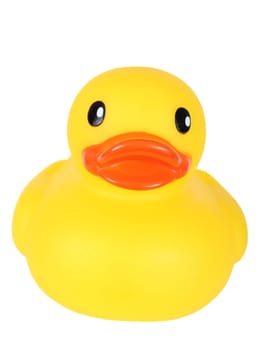 Yellow toy duck with orange beak on white