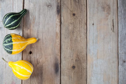 Mini pumpkin over old wooden background