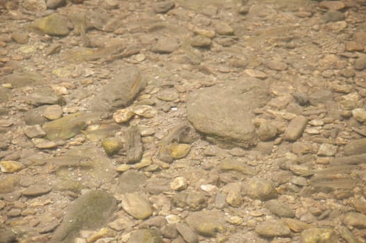 a picture of a beautiful clean clear water with fish
