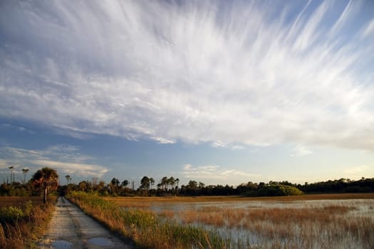 Backcountry Trail in Big Cypress National Preserve