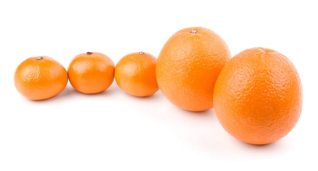 Oranges and tangerines in row isolated on white background