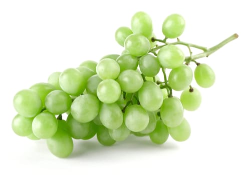 branch of ripe green grapes isolated on white background