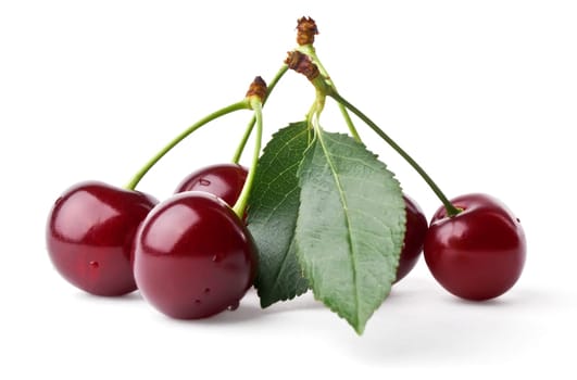 Fresh cherries with leaf isolated on white background