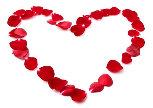 Petals of wild roses in shape of heart isolated on white background
