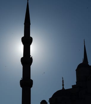 Blue Mosque silhouette