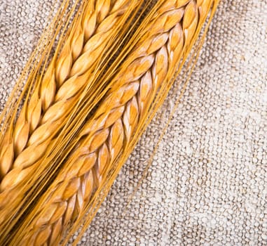 wheat ГҐars isolated on rough cloth background
