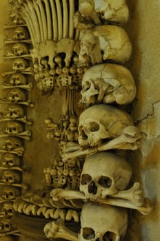 mortal remains in dark ossuary