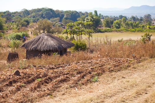 View of  an African village with small huts