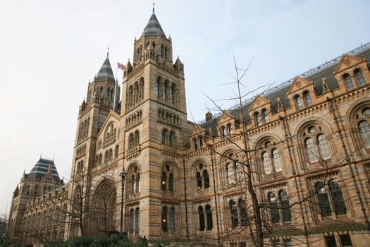 The Natural History Museum is one of the most favorite museum for tourist in London.   .