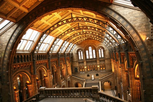The Natural History Museum is one of the most favorite museum for tourist in London.   .