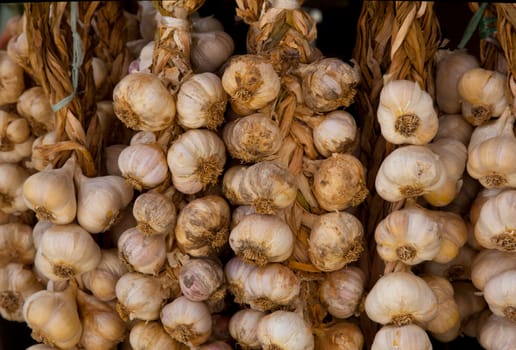 galic to be sold on the market