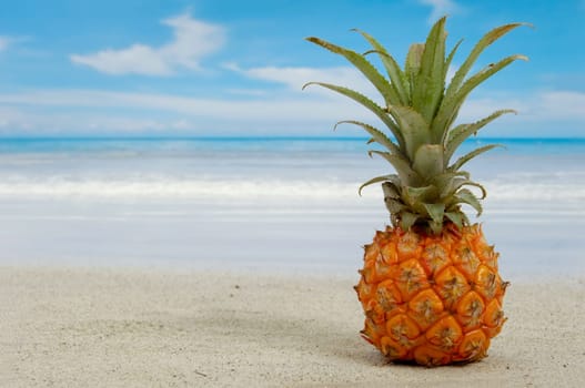 Pineapple on an exotic beach with blue and cloudy sky.