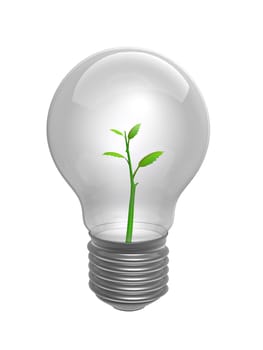 bulb with green plant inside isolated on white background