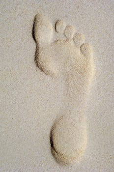 Singel footprint in the sand on a beach