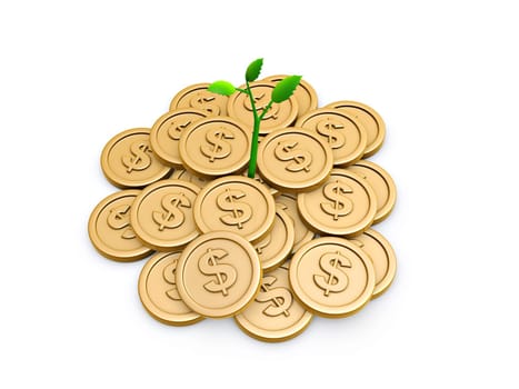 Gold coins and seedling isolated on white background