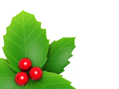holly leaves and red berry isolated on white background