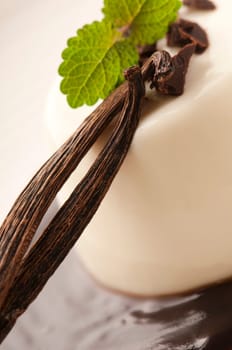 Panna Cotta with chocolate and vanilla beans