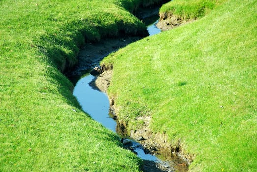 Small brook among fresh green summer grass