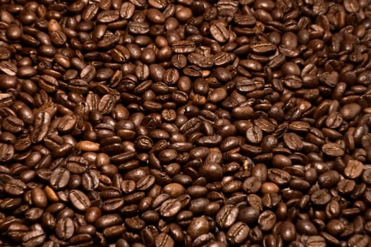 Coffee bean background.  Selective focus, edges blured.