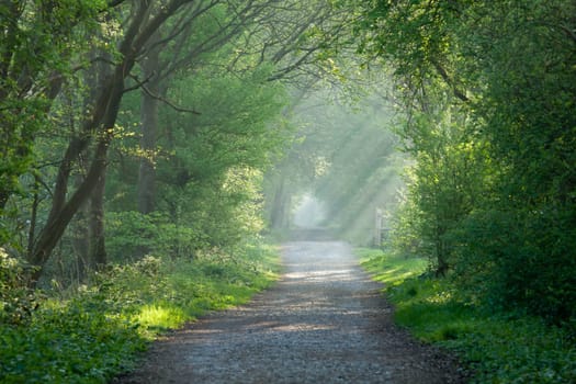 Countryside track and sunbeams