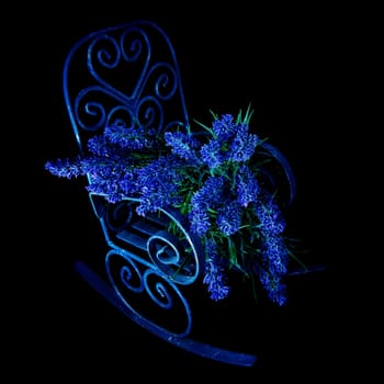 Lavender bouguet on metal chair isolated on black